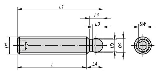 Grub Screw