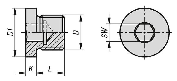 K1130 Screw Plugs With Collar And Hexagon Socket Drawing